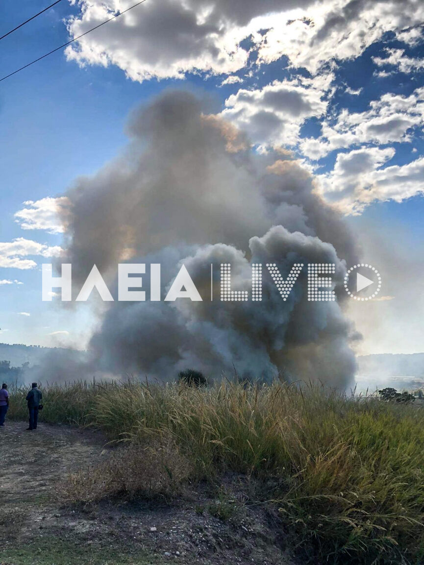 fotia platanos 2