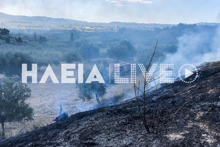 fotia platanos 4