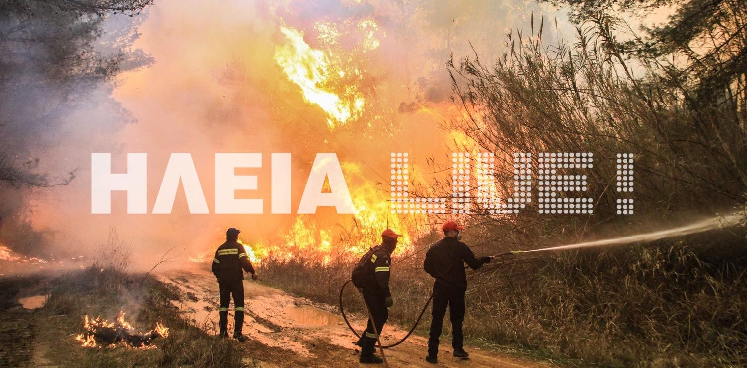ΕΕ: Καταστροφικά τα τελευταία χρόνια για τα δάση της Ευρώπης