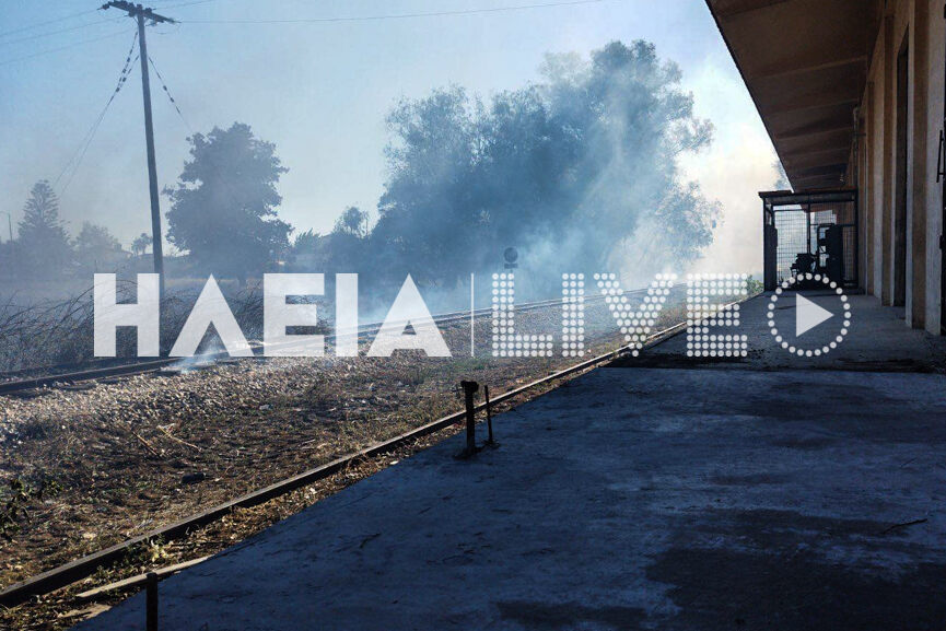 fotia lappa 4