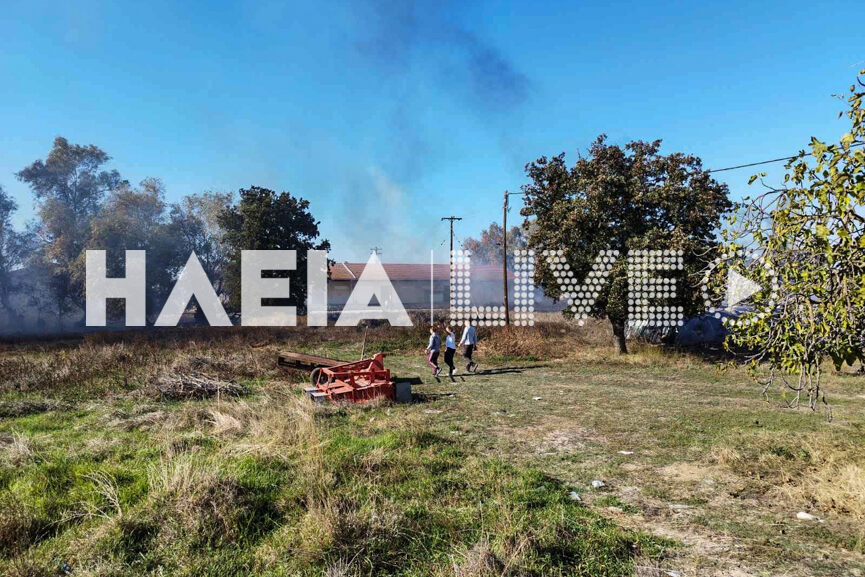 fotia lappa 5