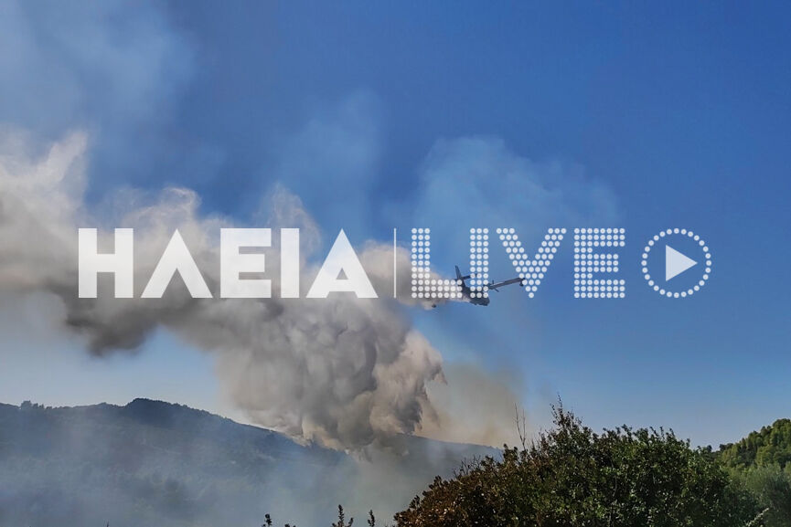 fotia lumpereika new 3