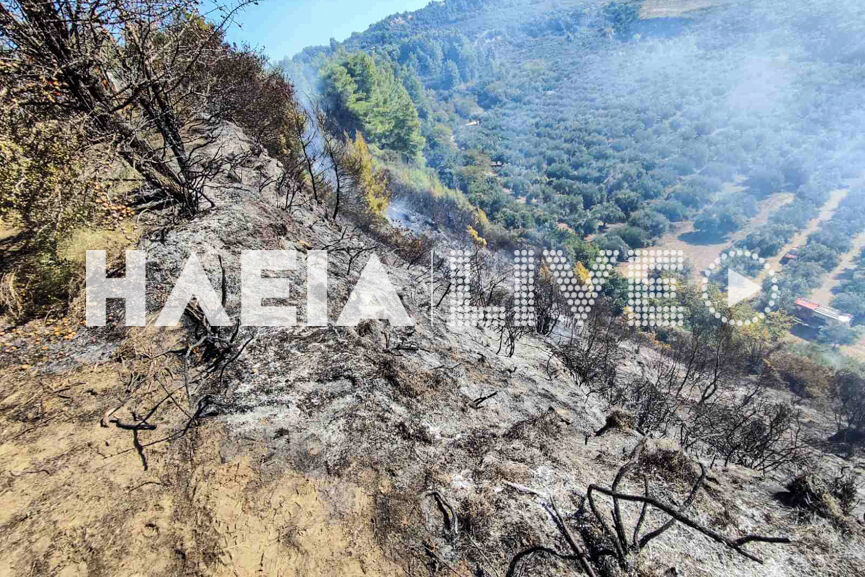 fotia lumpereika new 4