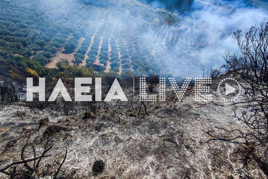fotia lumpereika new 5