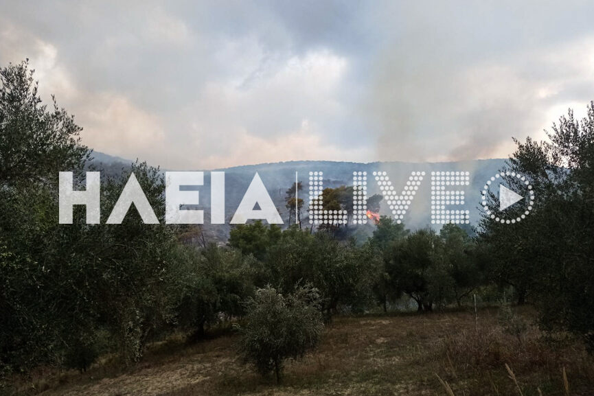 fotia analipsi 3