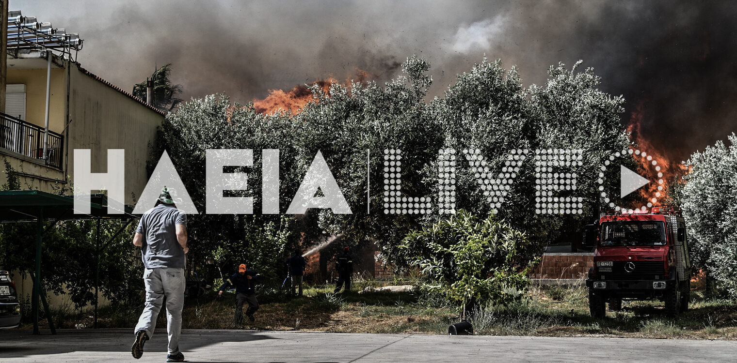 Ηλεία: Διπλάσιες πυρκαγιές από πέρυσι, λιγότερη καμμένη έκταση στην αντιπυρική