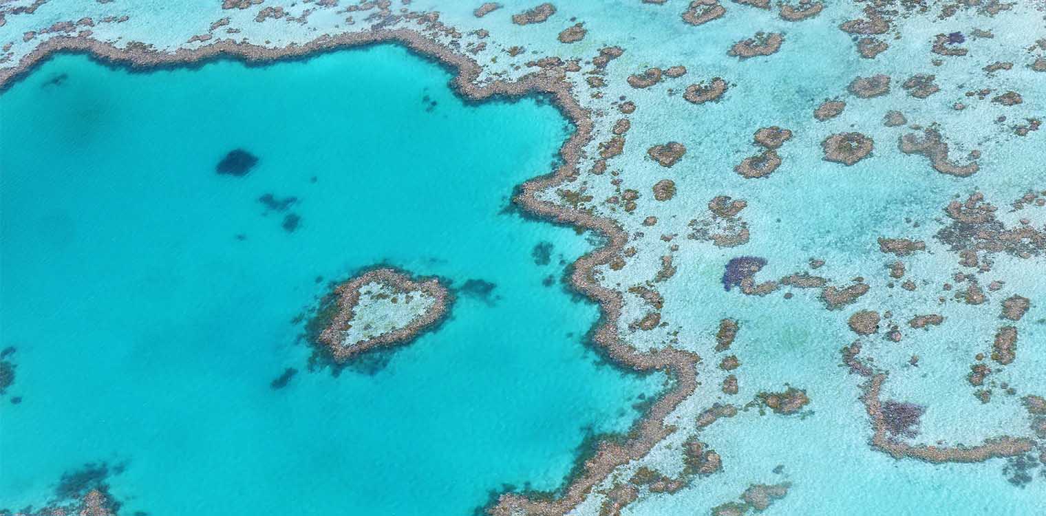 Κλιματική αλλαγή: Ο Μεγάλος Κοραλλιογενής Ύφαλος βρίσκεται σε κίνδυνο