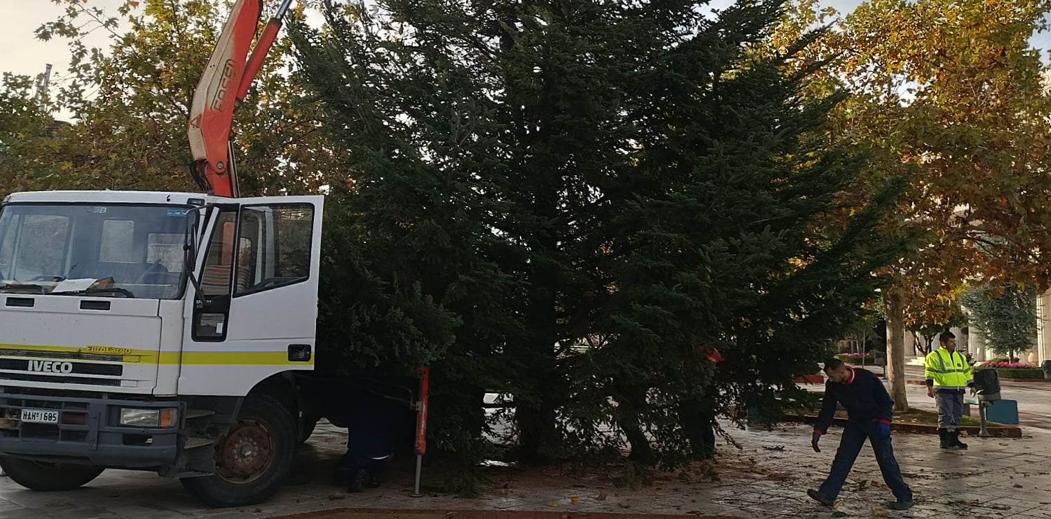 Τοποθετήθηκε το χριστουγεννιάτικο δέντρο στην κεντρική πλατεία του Πύργου