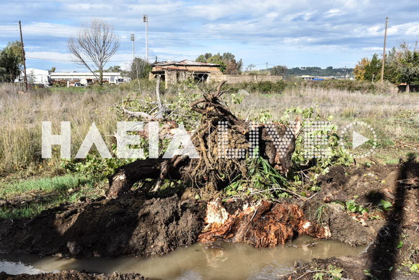anemostrovilos mera pirgos 8