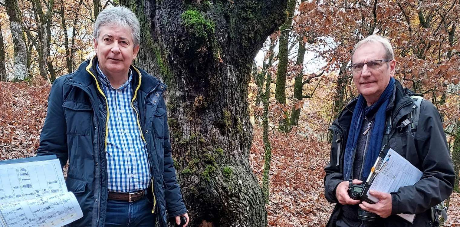 Η βιοποικιλότητα του δάσους της Φολόης εξετάζεται από το ευρωπαϊκό πρόγραμμα Life