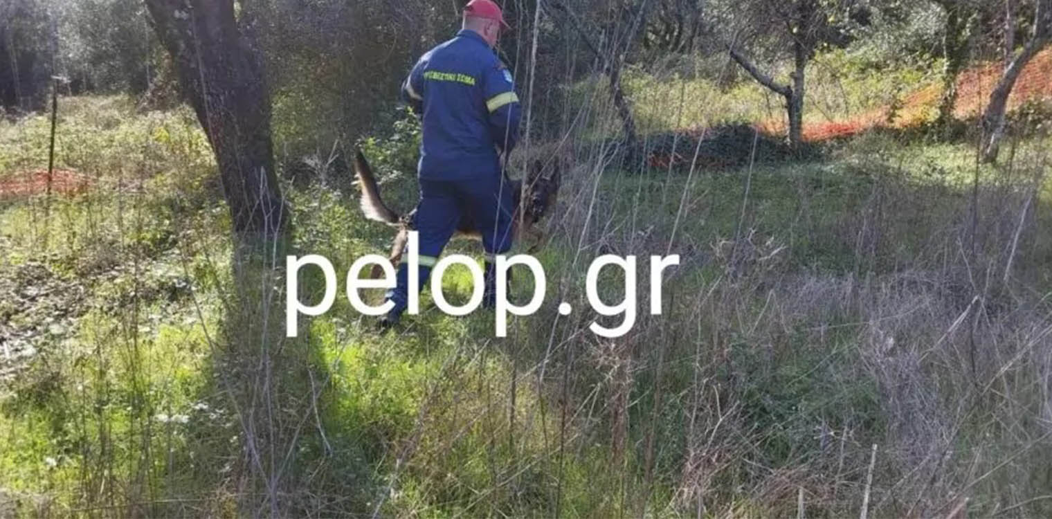 Αχαΐα: Συνεχίζονται οι έρευνες για τον 59χρονο στις Βελιτσές – Είχε βγει να μαζέψει μανιτάρια και αγνοείται