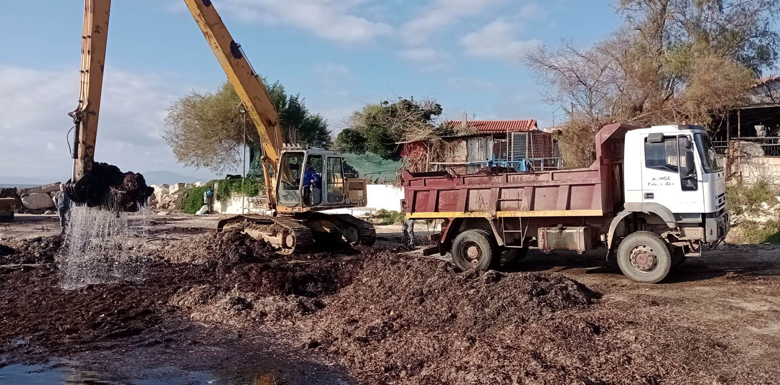 Δήμος Πηνειού: Ολοκληρώθηκε η επιχείρηση καθαρισμού από φύκια στο  Λιμανάκι της Γλύφας