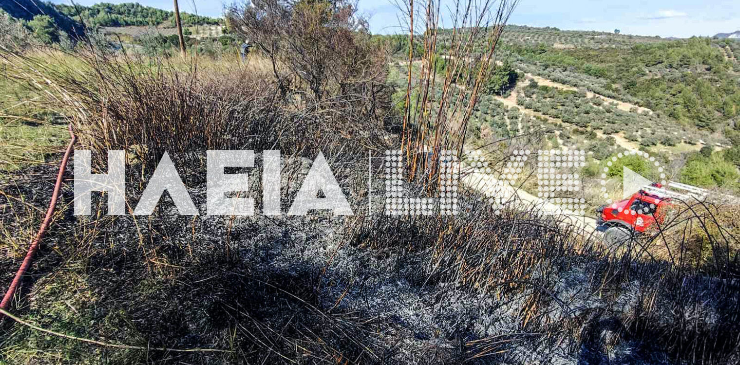 Χαριά Πύργου: Δασική πυρκαγιά κινητοποίησε την Πυροσβεστική