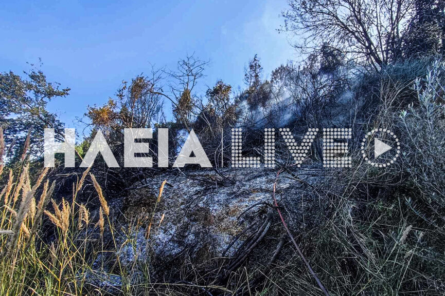 fotia xaria 3