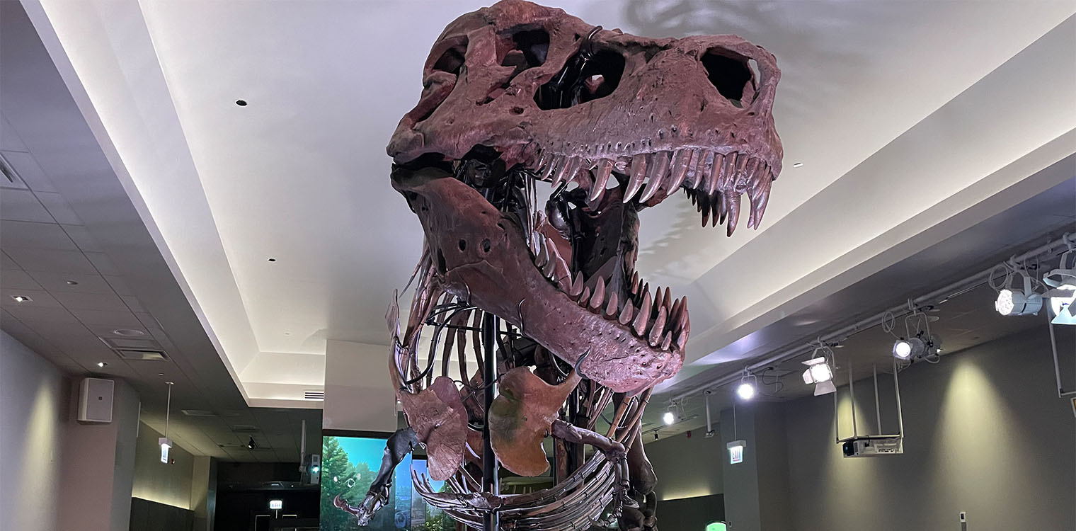 Δεινόσαυροι: Τα δόντια των Τυραννόσαυρων πιθανότατα δεν προεξείχαν αλλά καλύπτονταν από χείλη