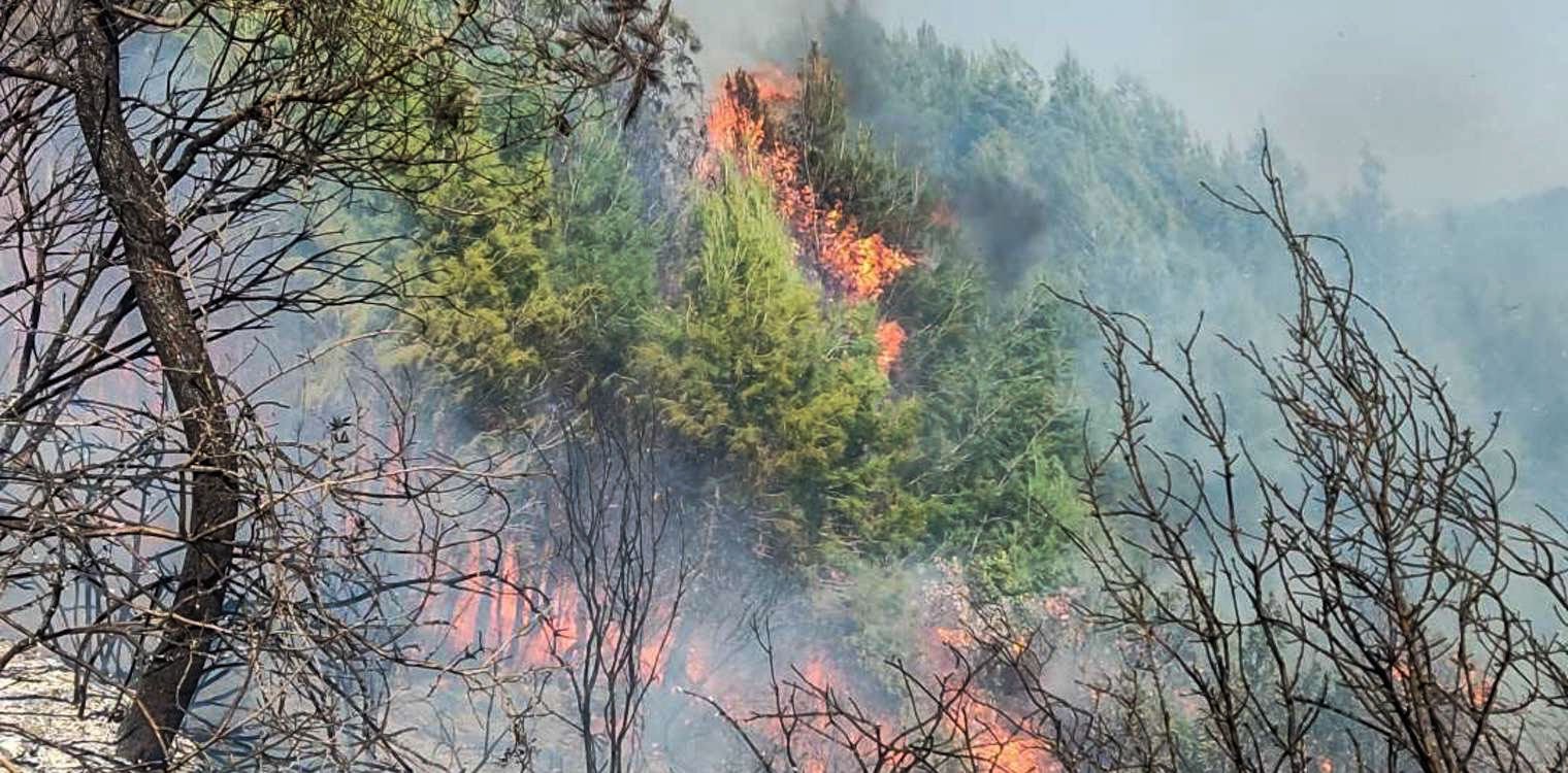 Εφύρα Πηνείας: Δασική πυρκαγιά σε εξέλιξη