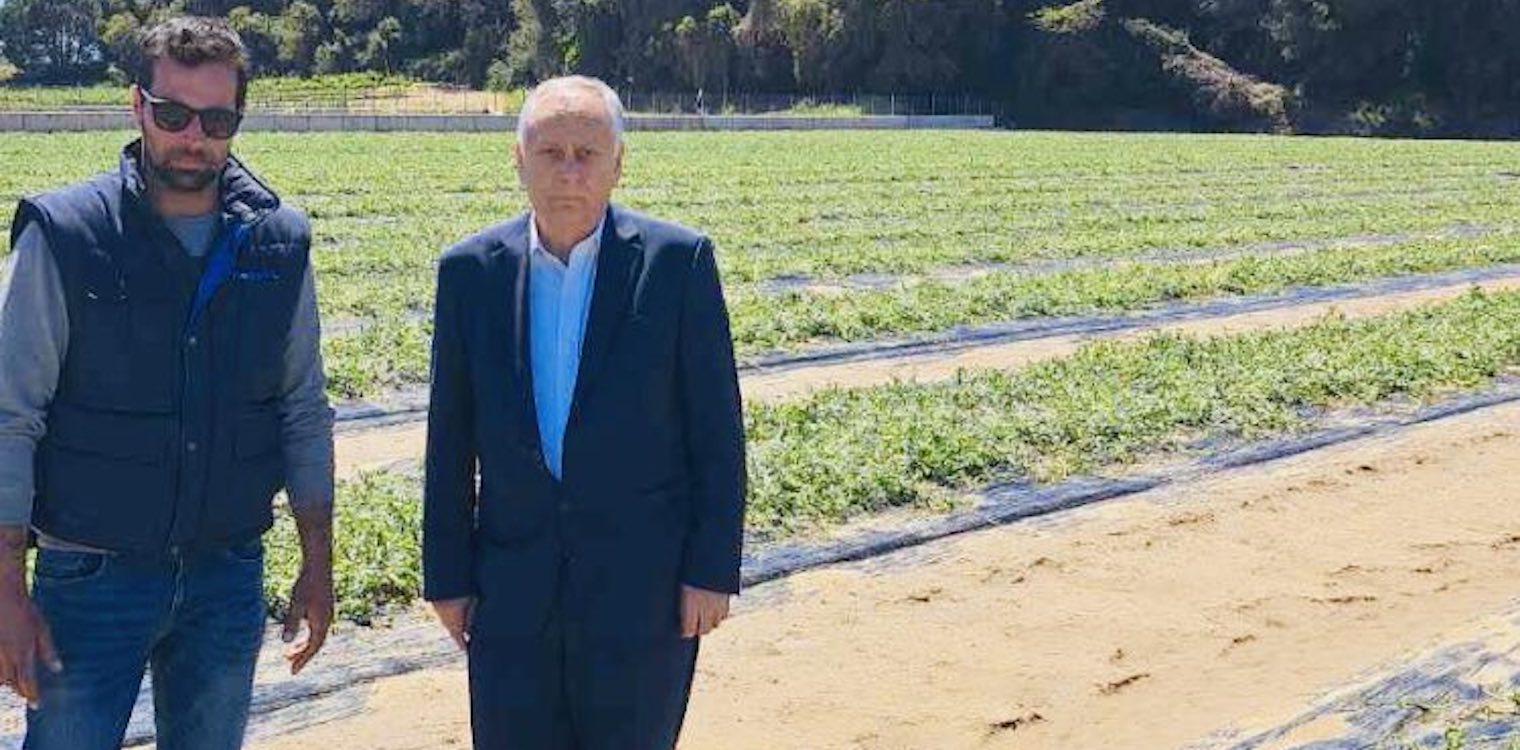 Ν. Καλάκος: «Άμεσες και επαρκείς αποζημιώσεις στους χαλαζόπληκτους παραγωγούς της Ηλείας»
