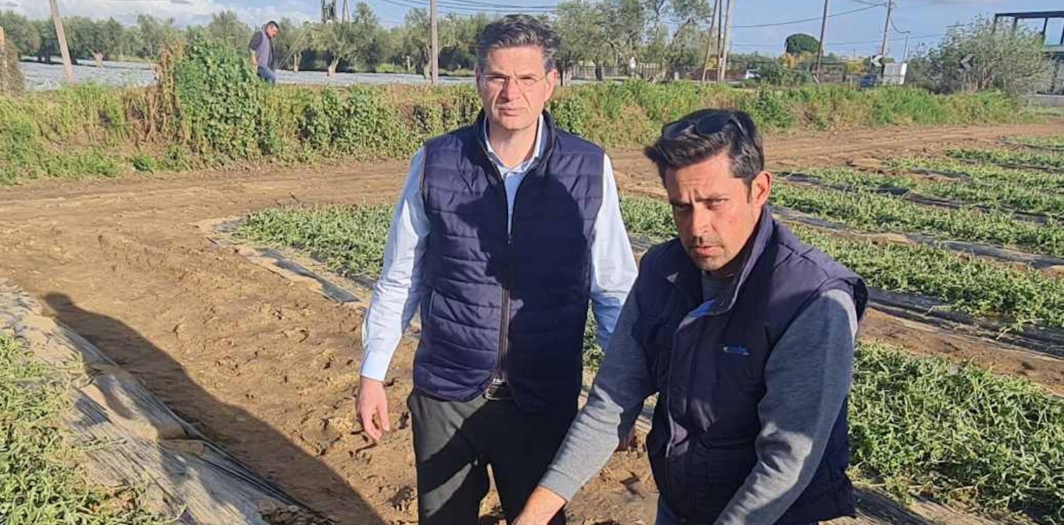 Καλαματιανός: «Άμεση εκτίμηση και αποζημίωση των πληγέντων αγροτών»