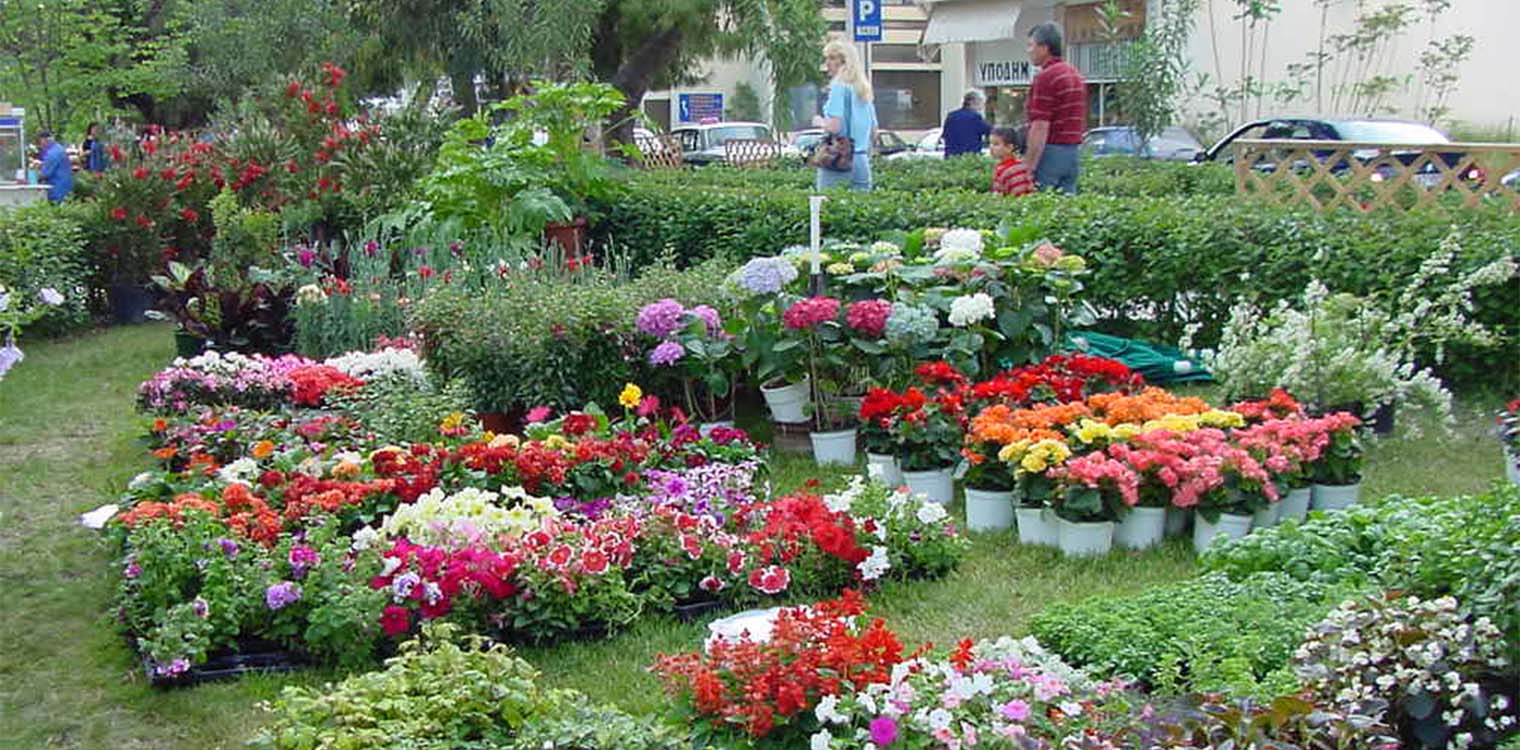 Έρχεται η 21η Πανηλειακή Ανθοκομική Έκθεση Αμαλιάδας στο Πάρκο Μπελογιάννη 16-21 Μαΐου 2023