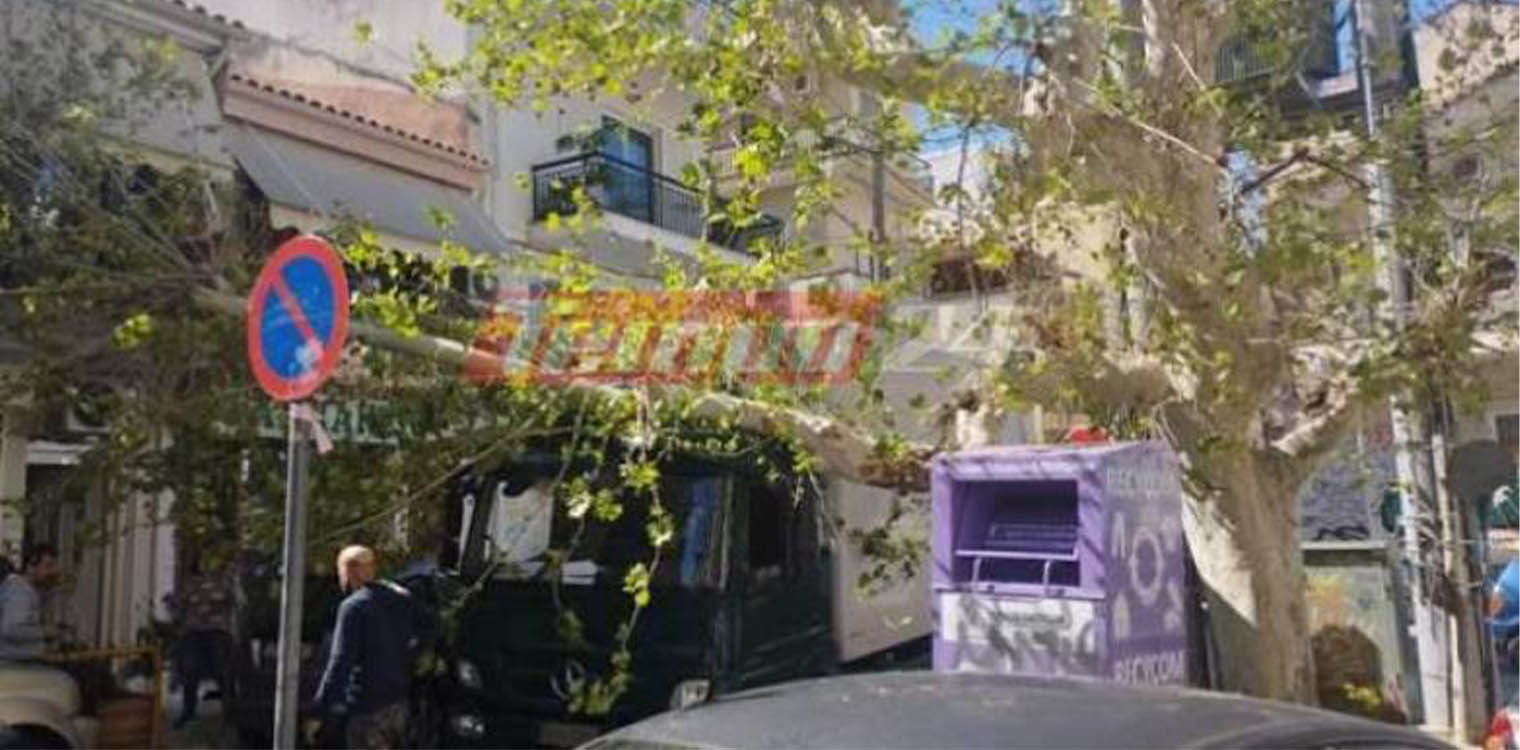 Πάτρα: Απίστευτο περιστατικό - Τμήμα δέντρου έπεσε πάνω σε διερχόμενο φορτηγό - Από θαύμα γλίτωσε ο οδηγός (photos &amp; video)