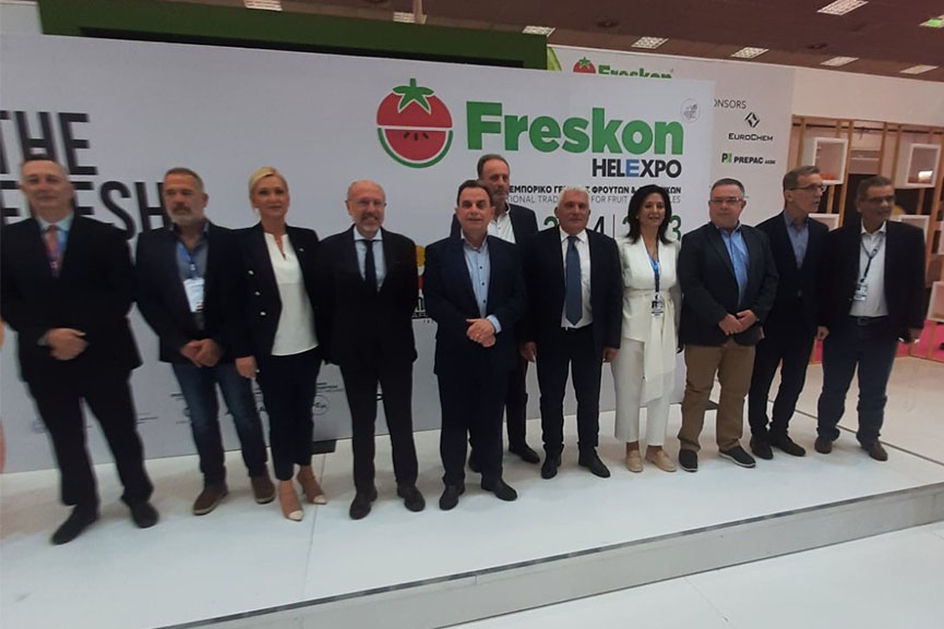 pde freskon tim 3