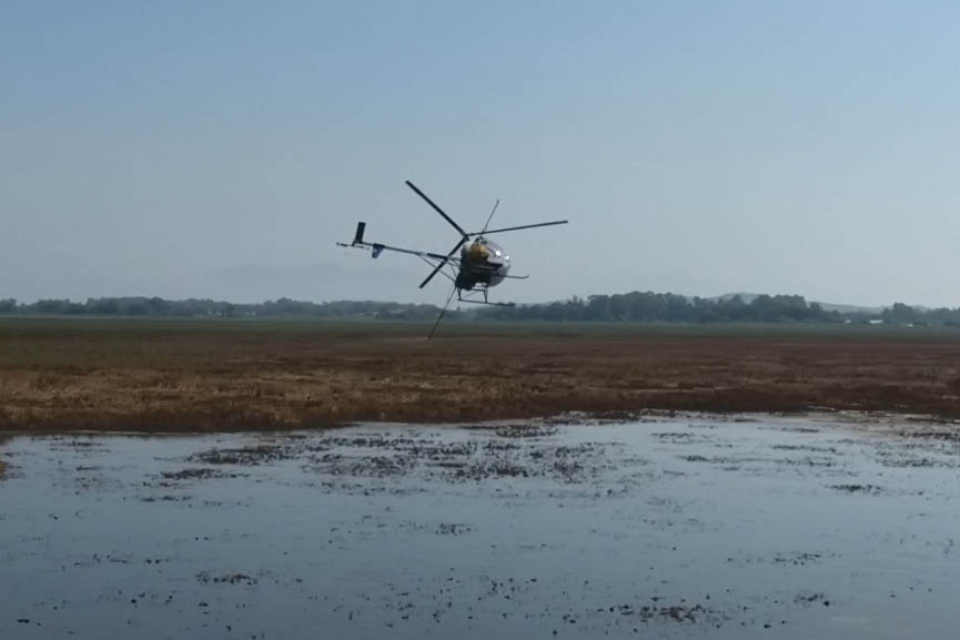 pde kounoupia vr 3
