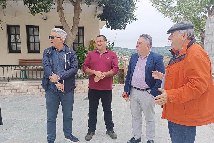 dimos anaplasi elaionas 4