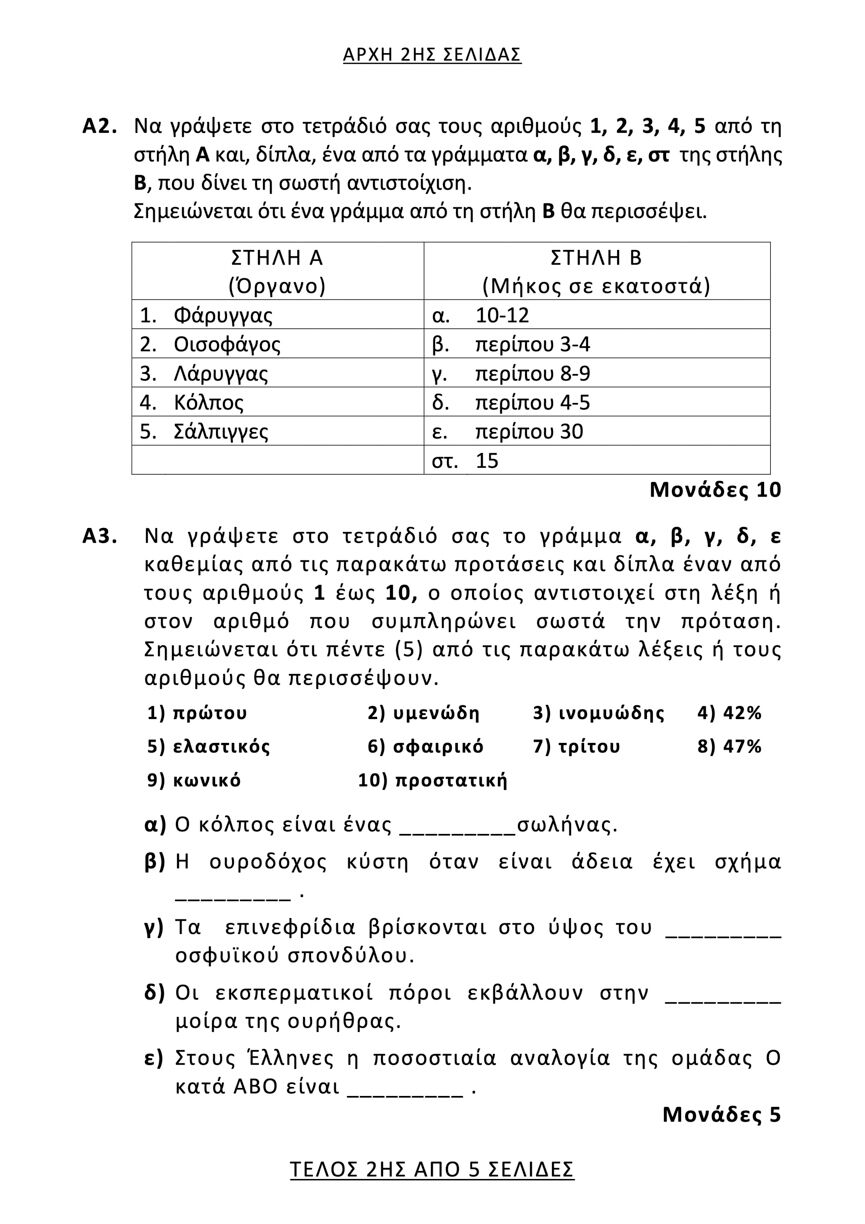 them anatomia epal2