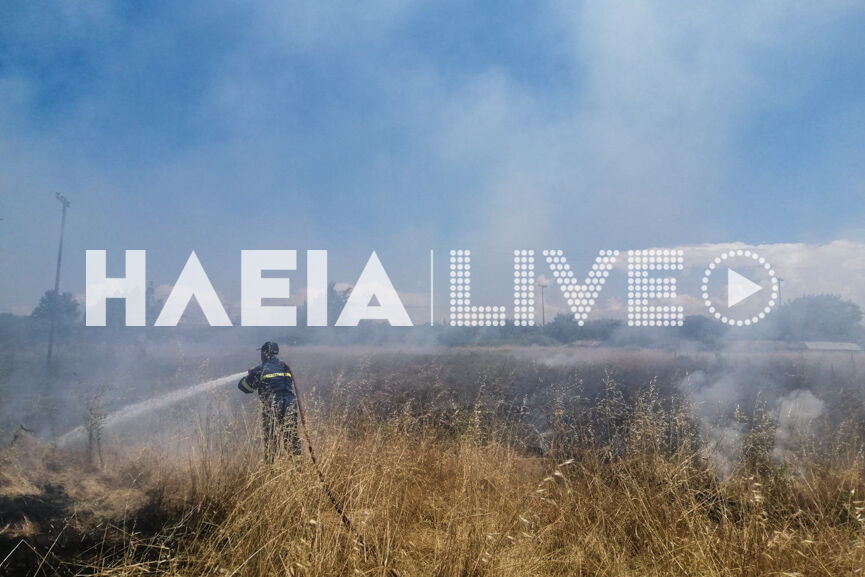 Fotia andravida 3