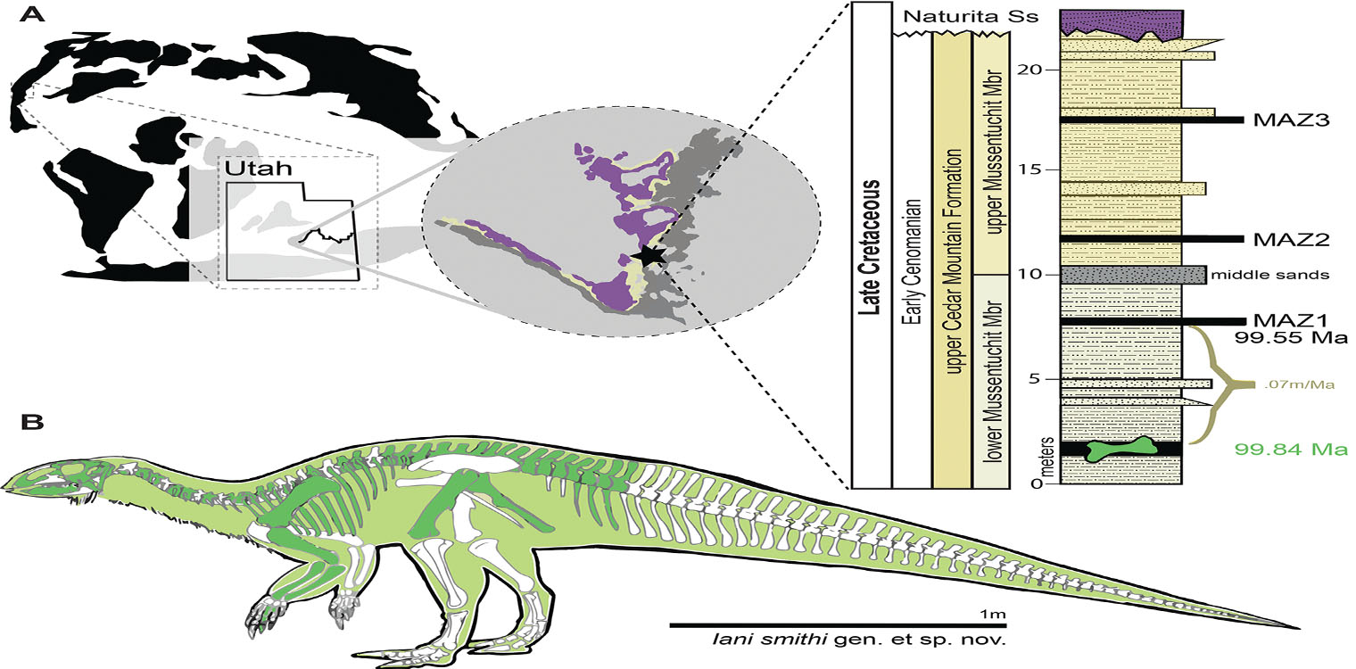 Παλαιοντολογία: Νέο είδος δεινόσαυρου στη Γιούτα ρίχνει φως σε μία περίοδο μεγάλων περιβαλλοντικών αλλαγών