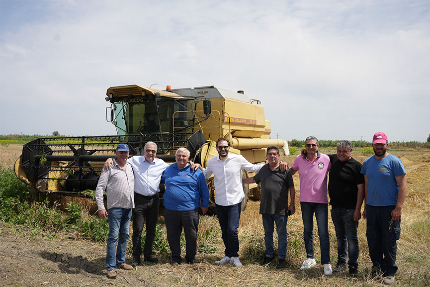 avramop per ilia ent 10
