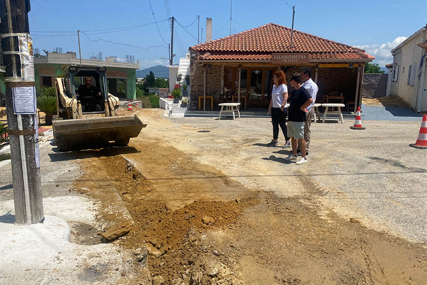 dimos andr psari anapl 2