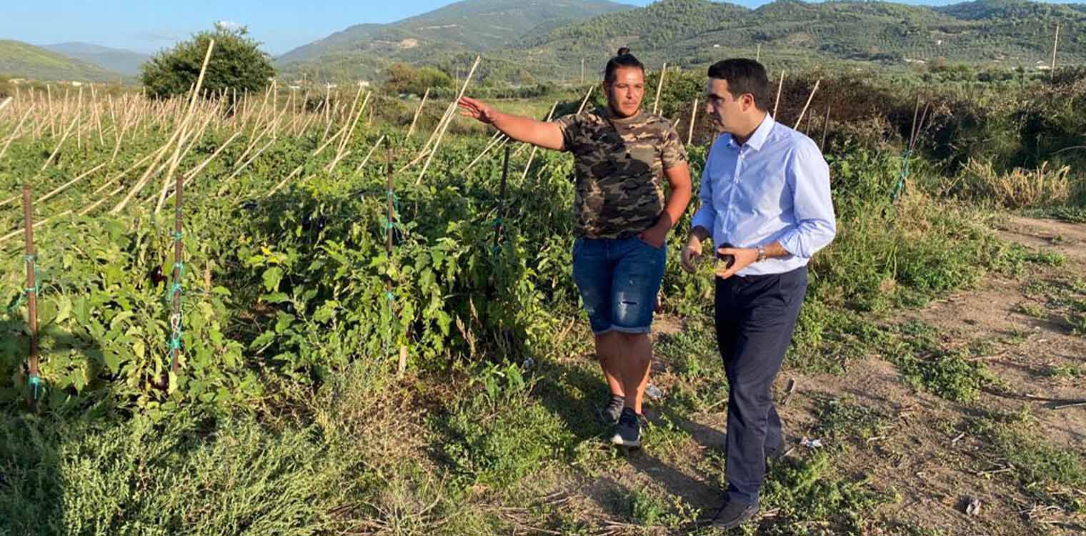 Κατρίνης: Η κοροϊδία της Νέας Δημοκρατίας απέναντι στους αγρότες δεν έχει όριο