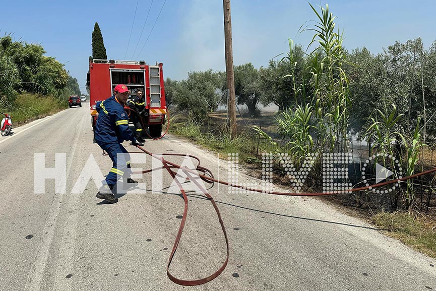 fotia Ag. Ioannis 12 07 2023 2