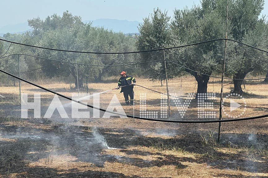 fotia Ag. Ioannis 12 07 2023 3