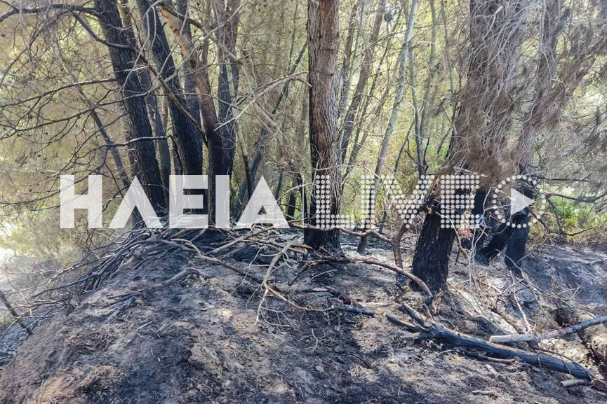 fotia analipsi 3