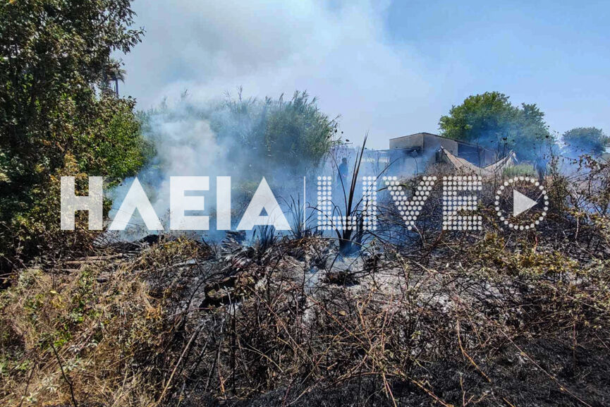 fotia korakoxori 6