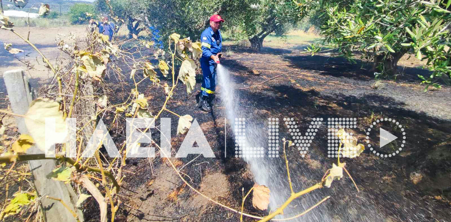 Λαμπέτι Πύργου: Λαχτάρα με πυρκαγιά στις παρυφές του οικισμού