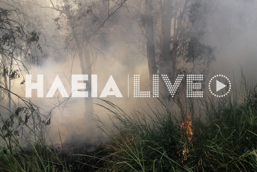 fotia Lapa 2