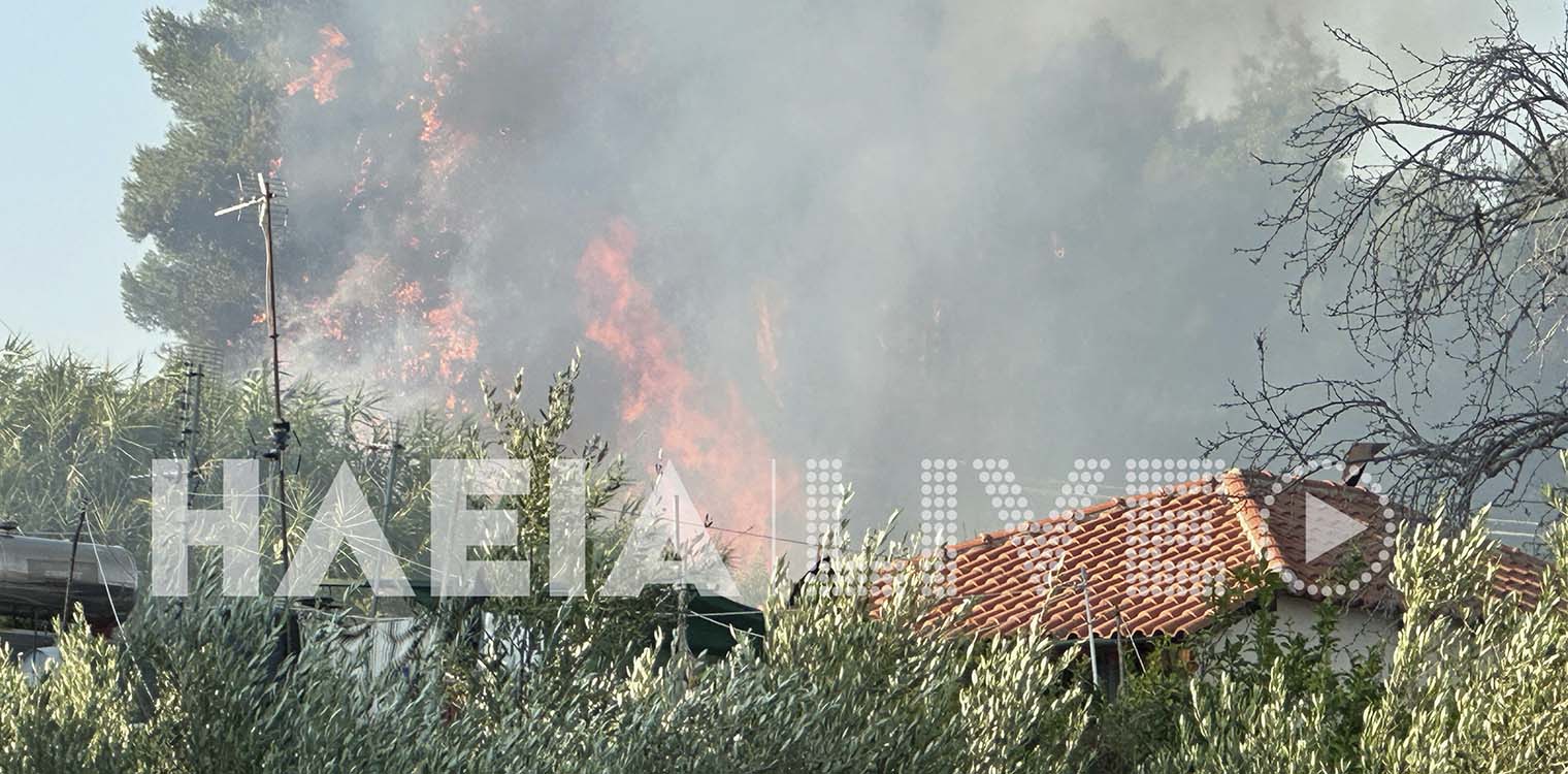 Λασταίικα: Πυρκαγιά στις παρυφές του χωριού - Γλύτωσαν τα σπίτια (photos)