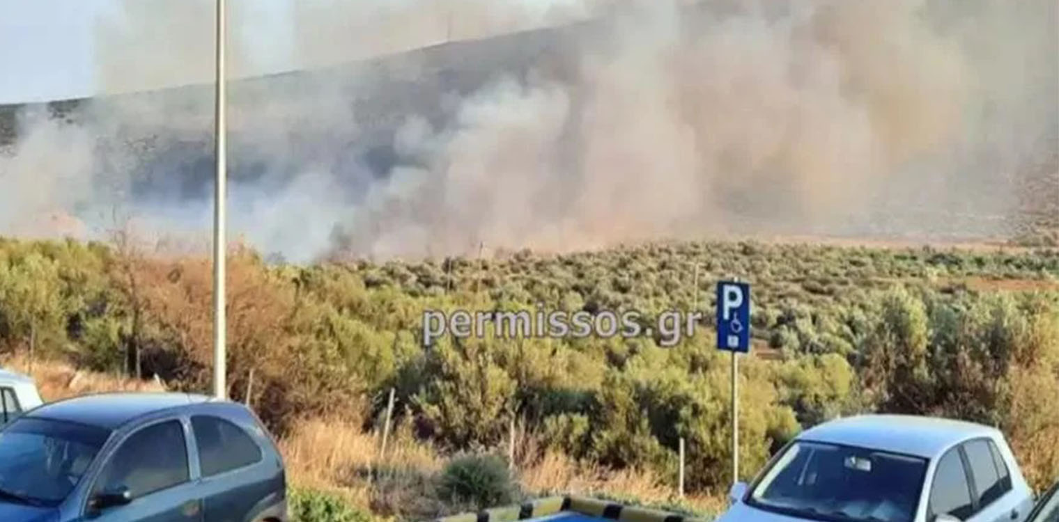 Οριοθετήθηκε η φωτιά στη Βοιωτία μετά την ολονύχτια μάχη - Είχε σταλεί μήνυμα του 112