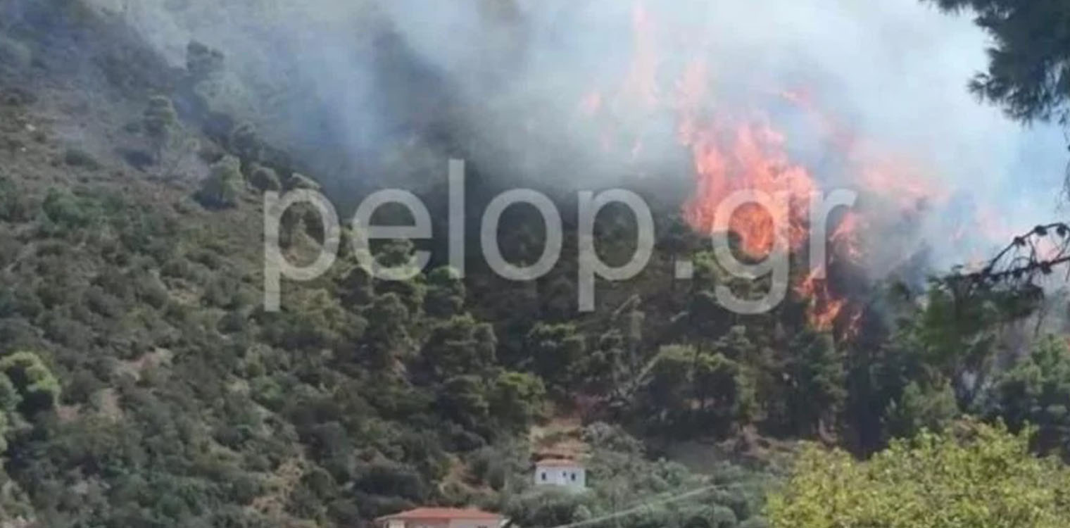 Φωτιά τώρα στο Αίγιο: Κοντά σε σπίτια οι φλόγες – Κινητοποίηση της Πυροσβεστικής