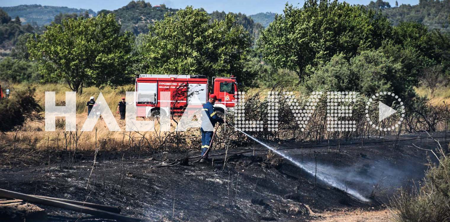 Επιτάλιο: Στάχτη 30 στρέμματα χορτολιβαδικής έκτασης από πυρκαγιά
