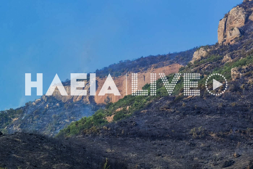 pirkagia aigio mera 4