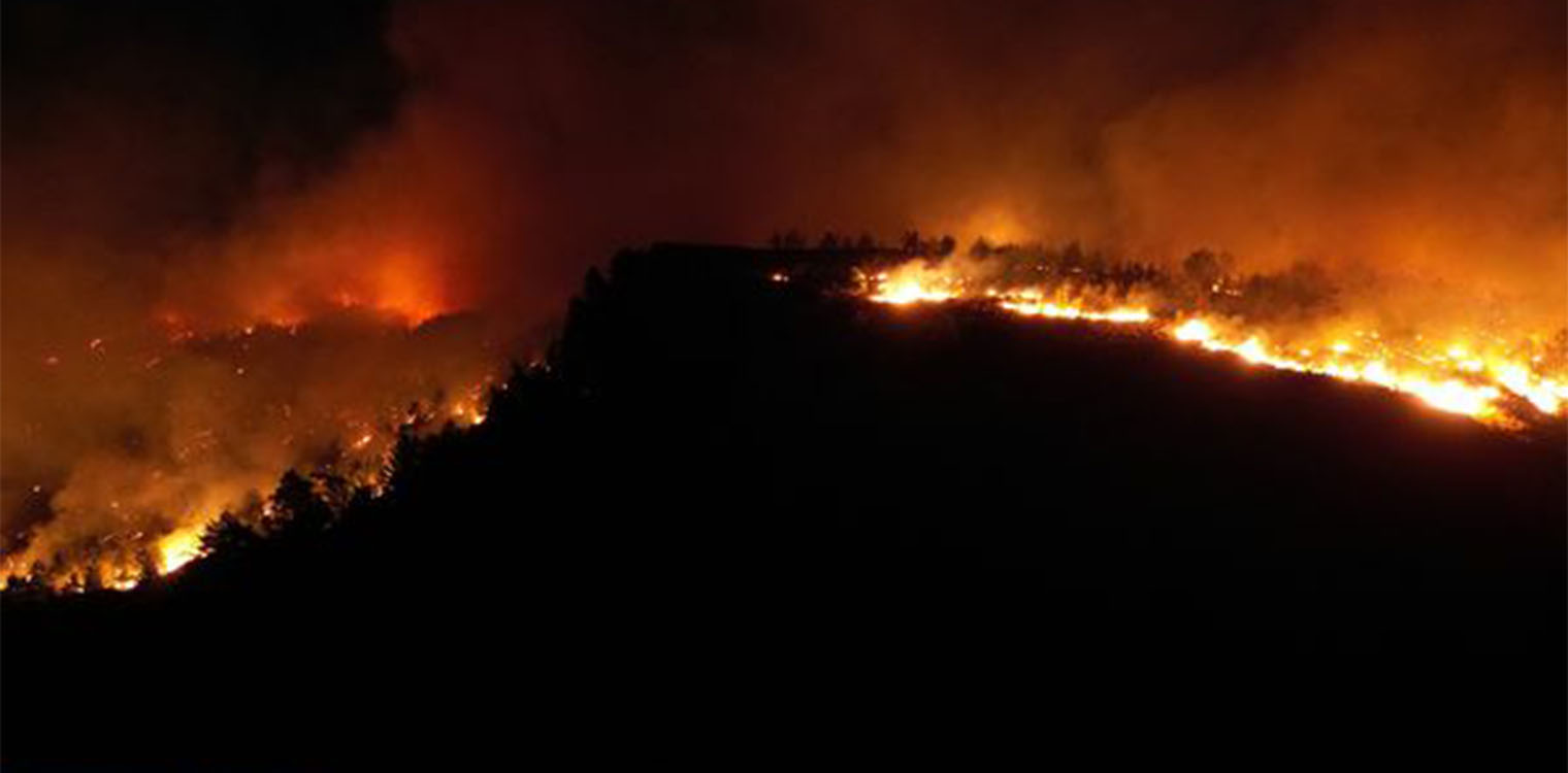 Υπό έλεγχο η πυρκαγιά στη Χίο, έκαψε 600 στρέμματα δασικής έκτασης