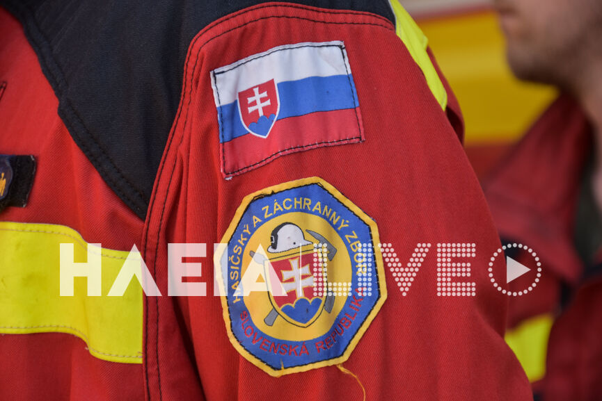 slovakoi 6