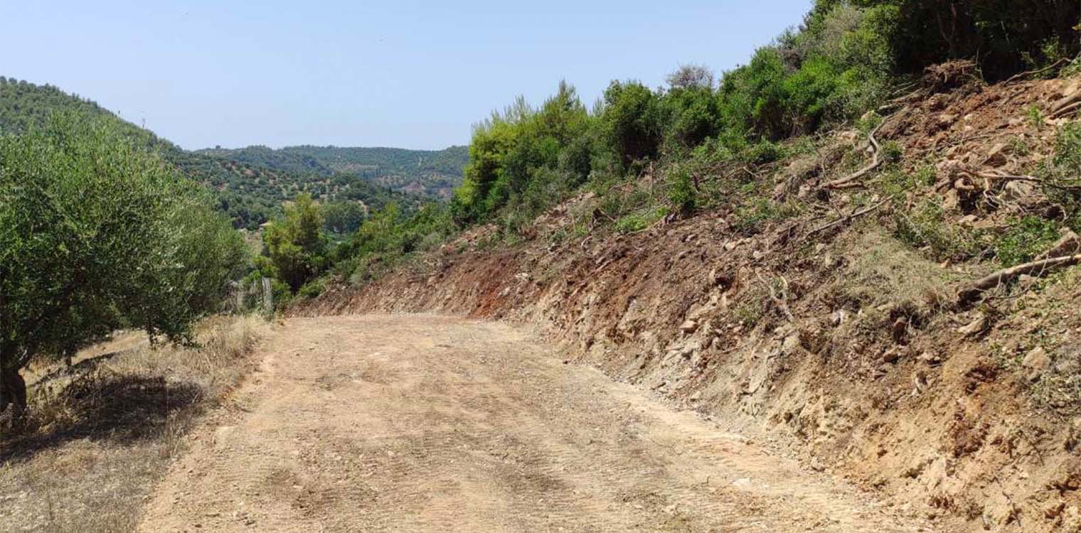 Με εντατικούς ρυθμούς η συντήρηση του δασικού οδικού δικτύου στον Δήμο Ζαχάρως - Διαπλάτυνση δρόμου στα Ροδινά