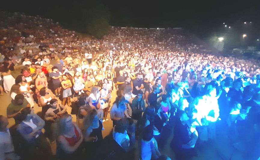 Kotisras2
