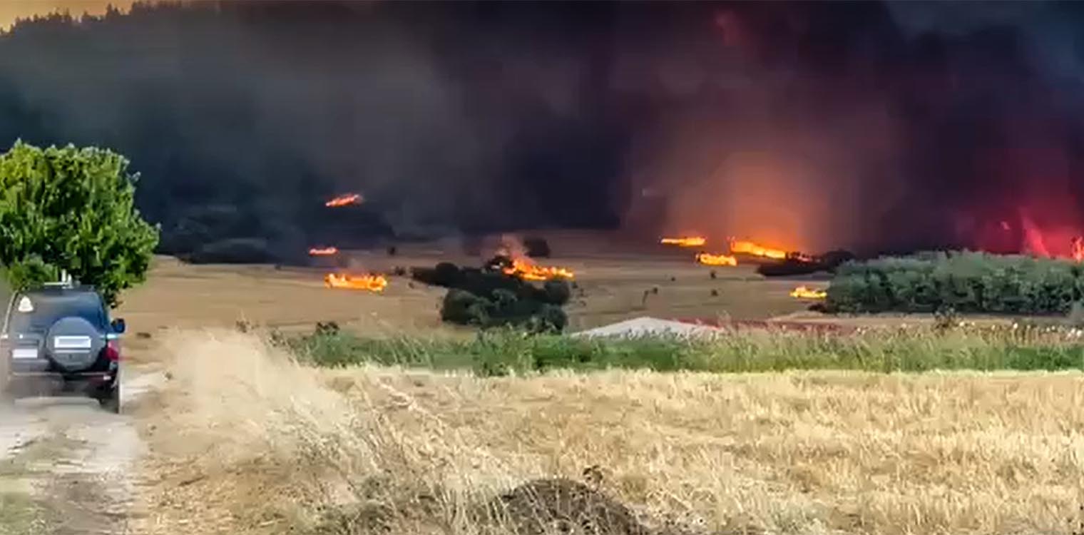 SOS από Meteo: Εξαιρετικά δυσμενείς πυρομετεωρολογικές συνθήκες έως το βράδυ σε Έβρο και Βοιωτία