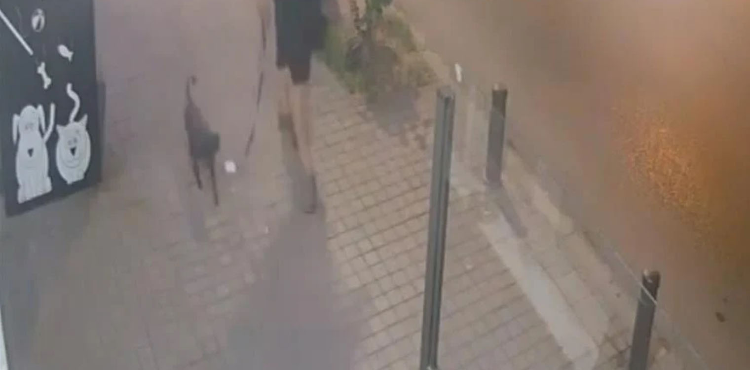 Οργή στη Θεσσαλονίκη: Άνδρας έδεσε και εγκατέλειψε σκύλο έξω από κτηνιατρική κλινική